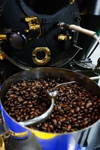 Fair Trade Brazilian Pulp Wash