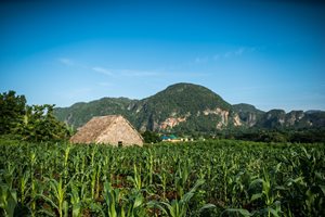 Cuban Crystal Mountain