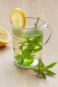 Lemon Verbena