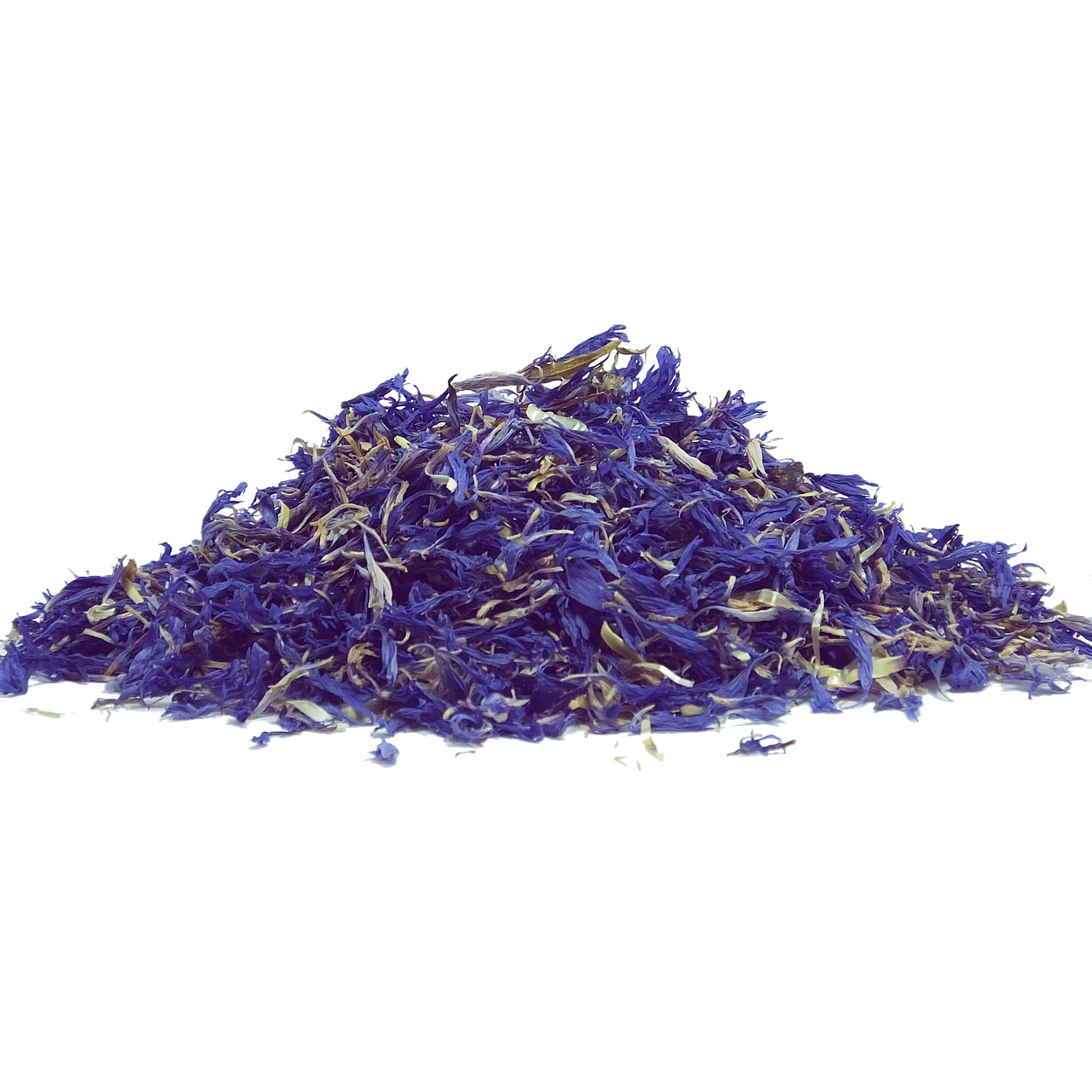 Blue Cornflowers