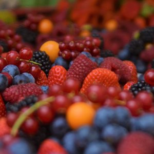 Forest Fruits Tea